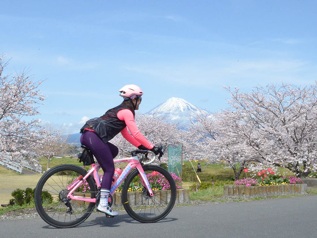 「桜・富士山」春満喫！絶景サイクリングへ