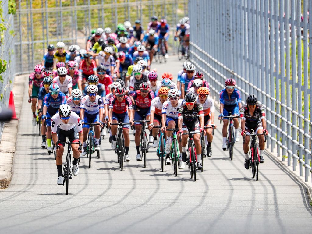 全日本自転車競技選手権大会ロードレース